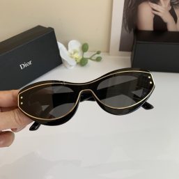 2025 new fashion trend all-match Dior sunglasses