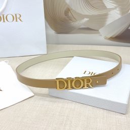 The new DIOR belt is a must-have for fashionable people